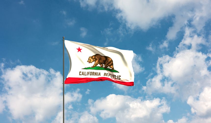 Flag of California, United States waving in the wind, national symbol. Country, nation, union, flag, government, politics, culture of California.