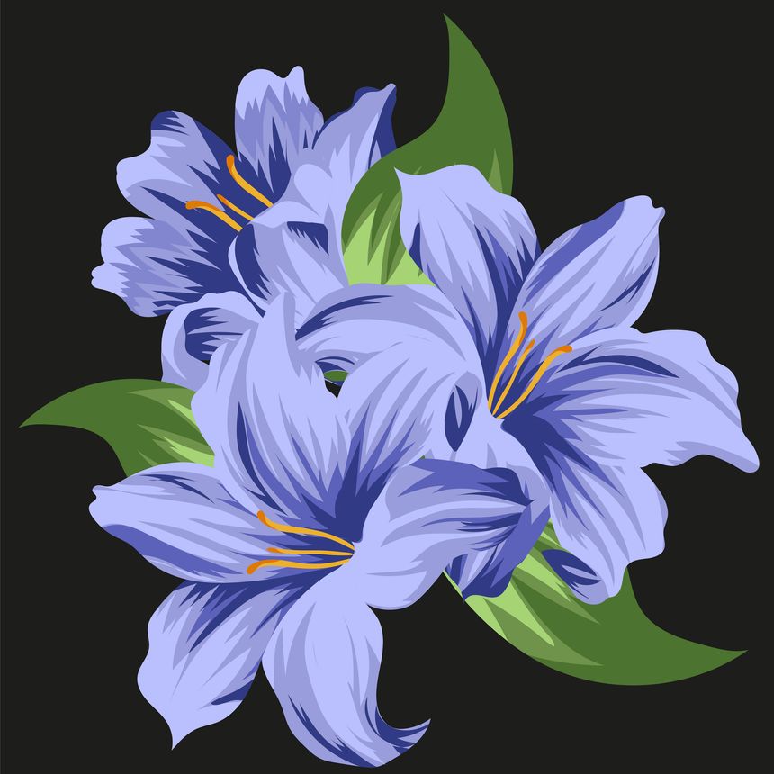vector illustration of three blue summer lily buds with three green leaves on a black background