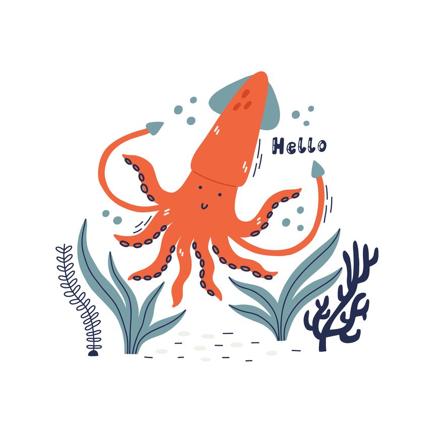 Cute hand drawn sea creature character squid isolated on white. Underwater creature life. Decorative lettering hello. Kids vector print design doodle style