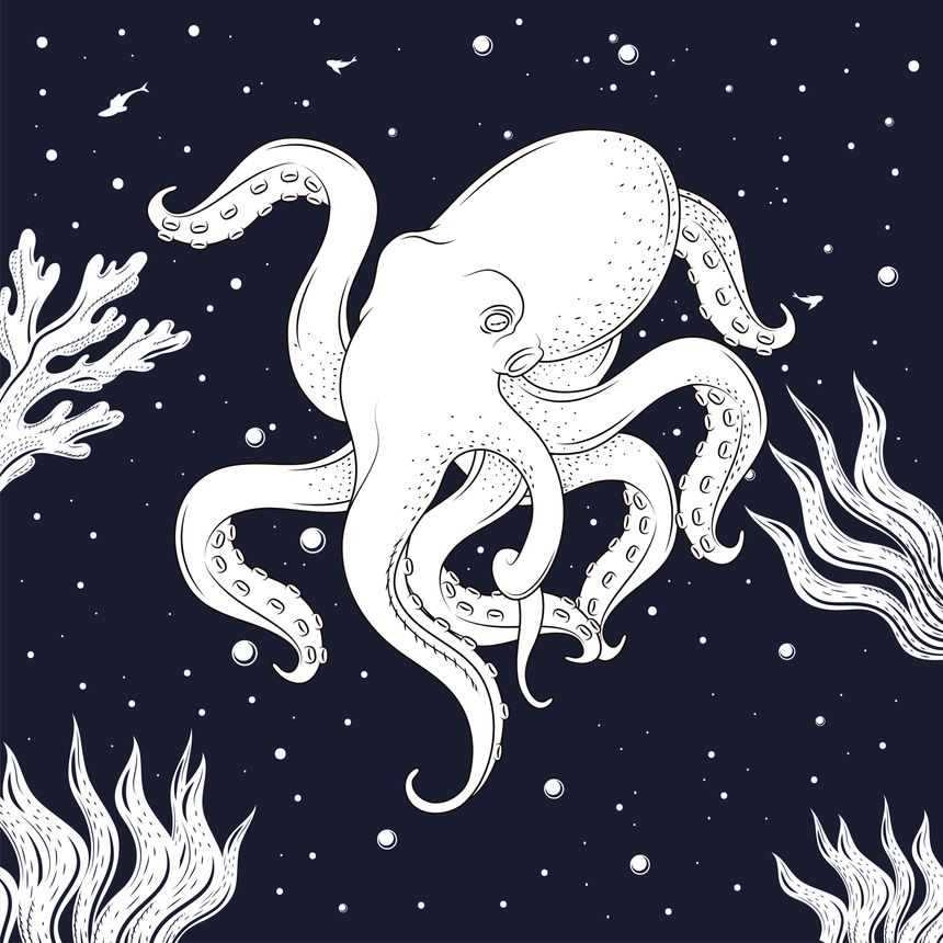 octopus with algaes surreal scene