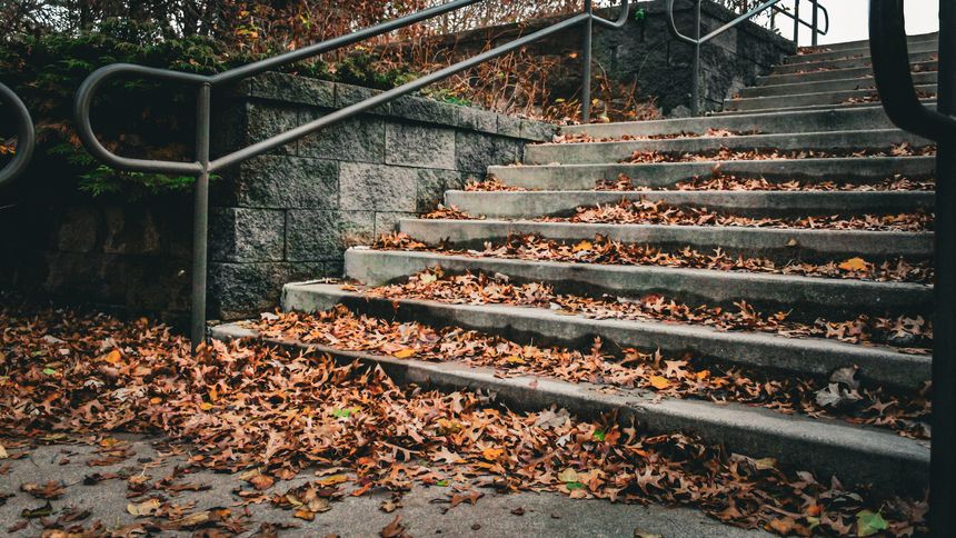 concrete stairway outside with railing covered in autumn leaves in a park nature scene. steps and staircases graphic element.