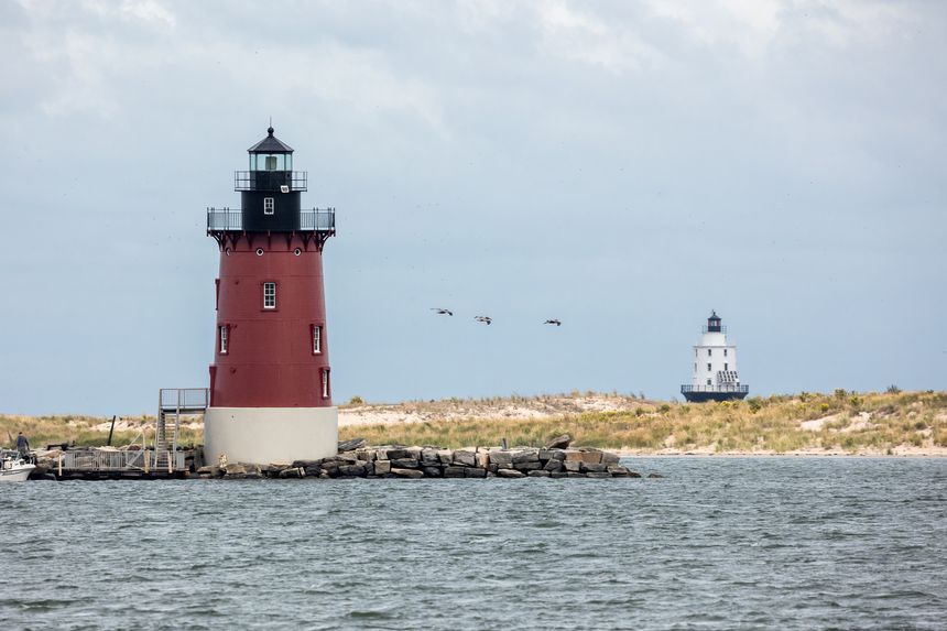 Photograph of the Delaware Breakwater and Harbor of Refuge lighthouses with three birds