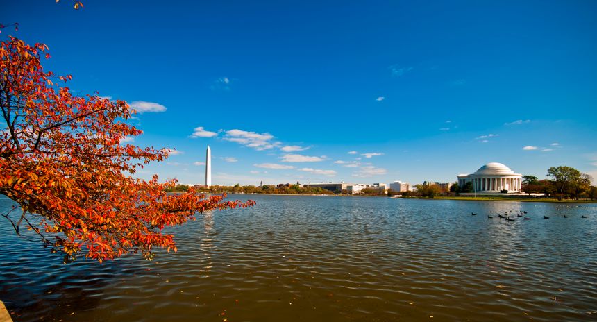 Autumn day with golden and red leaves