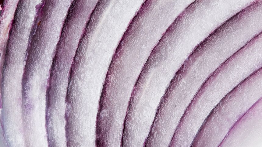 Macro from red onion cut section