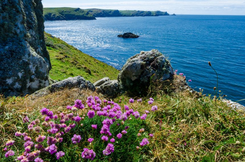Atlantic coast in Pembrokeshire Coast National Park, UK