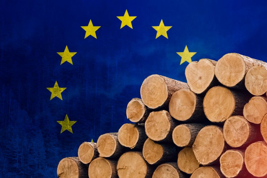 EU flag and tree logs. Concept of economic fuel crisis, fuel default. Refusal of gas