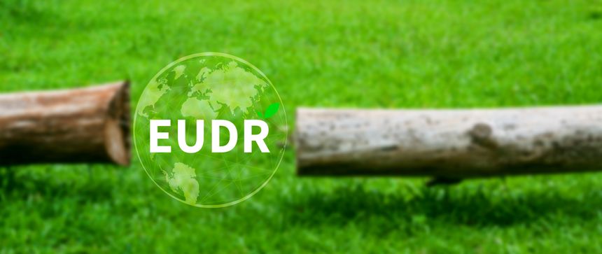 EUDR Environmental Responsibility and drinking coffee in European Union Concept, EU Deforestation Regulation EUDR, Sustainable practices and corporate environmental responsibility