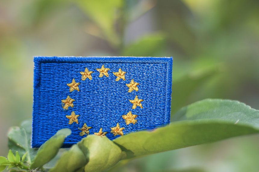 This image presents an embroidered European Union flag placed among lush green leaves with soft natural light. The composition symbolizes sustainability environmental responsibility and the balance between governance and nature. It visually reflects European leadership in climate action green initiatives and long term ecological awareness making it suitable for editorial coverage on environmental policy renewable transitions and sustainability focused narratives.