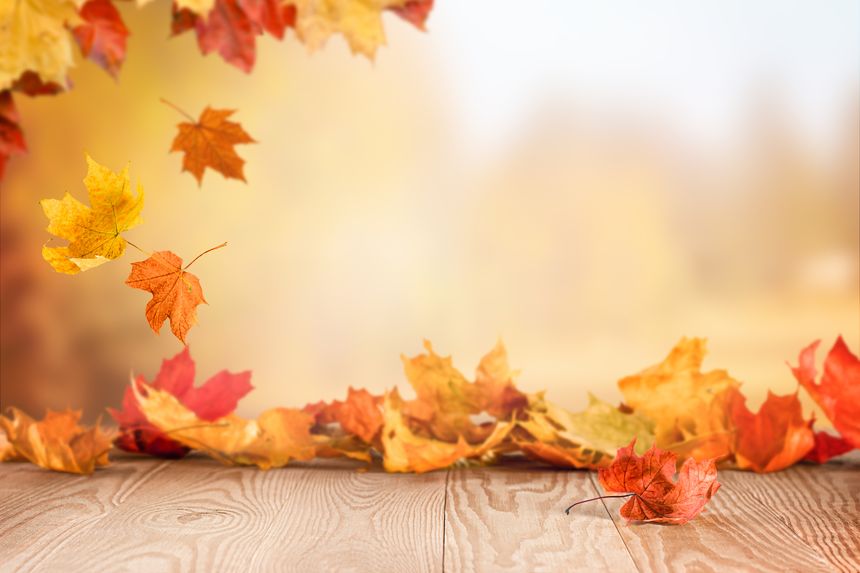 Falling autumn leaves on wooden table with copy space