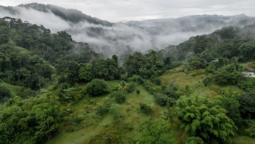 Aerial shot of a rural area full of vegetation and pastures in the middle of the Caribbean jungle with mountains and fog in the province of Limón in Costa Rica