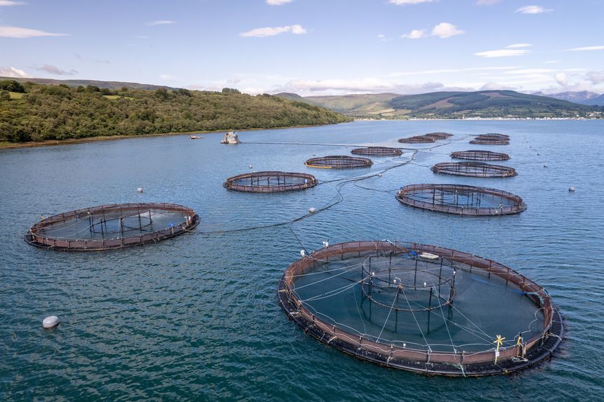 The fishery contains trout and salmon which is farmed in Scotland for sale around the world.