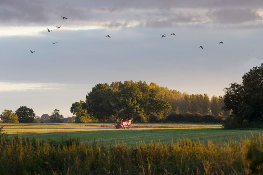 Crop sprayer spraying crops in a field at sunset in rural Buckinghamshire. English countryside scene, UK
