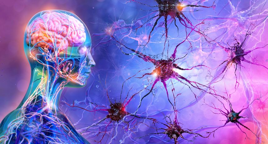 Brain neurons. Concept of logical thinking, intelligence, mental capacity, mind games, psychology, depression, mental health disorders problem. Stress, panic, anxiety, pain, exhaustion disorders, 3D illustration