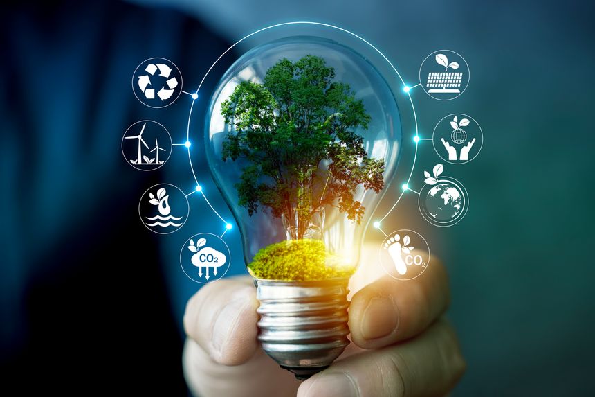 A green tree growing inside a light bulb symbolizes renewable energy, environmental protection, and eco innovation, representing sustainability, clean technology, and a green future for our planet.