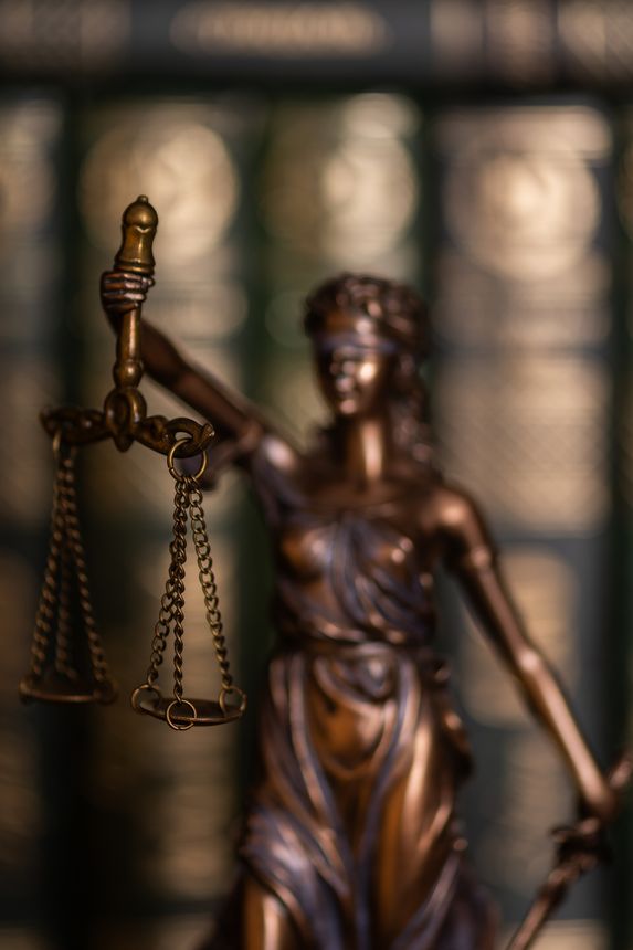 The figure of Themis against the background of books on a shelf