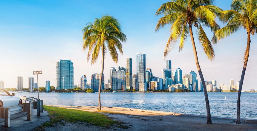 the skyline of miami with palm trees