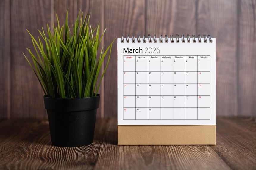 March 2026 desk calendar displayed next to a small potted green plant on a rustic wooden table background.