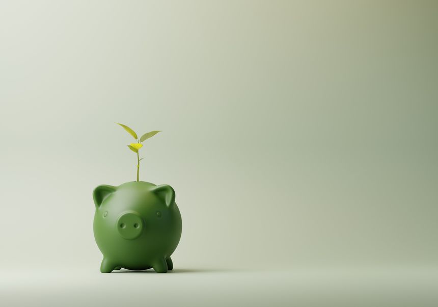 Plant growing out of Green Piggy Bank on plain background with copy space for tex. Eco, Green, Ecological Investment and Saving concept. Minimal 3d rendering.