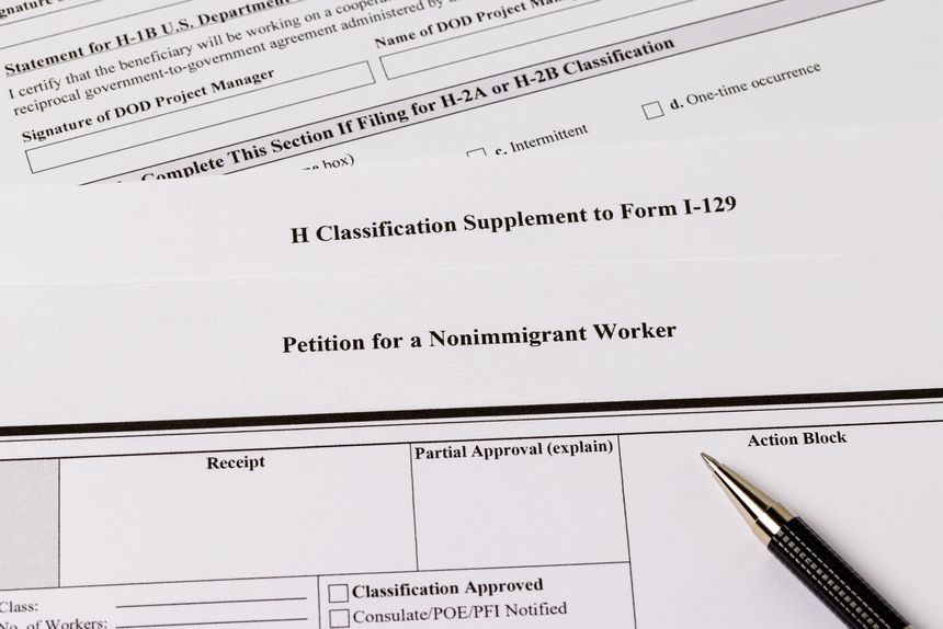 closeup, background, no people