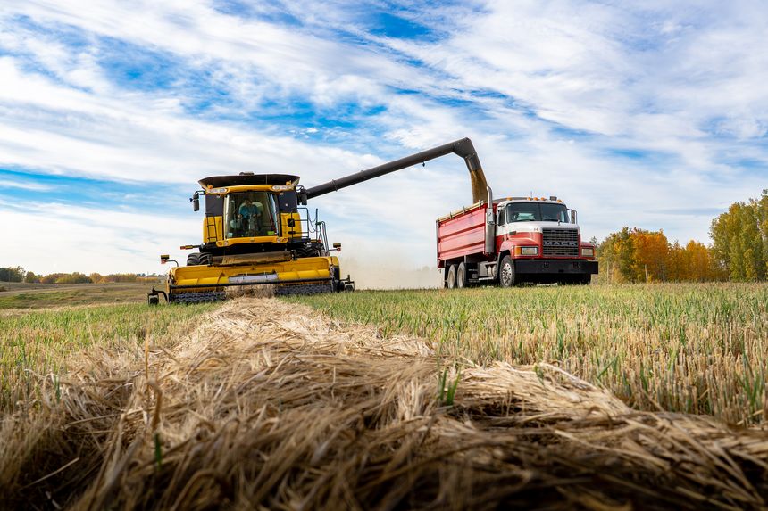 Cremona Alberta Canada, September 25 2023: Harvester unloading crop into grain truck on prairie field.