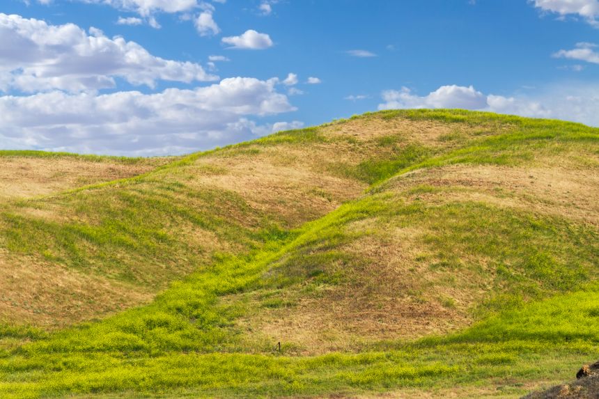 Green grass field with dry yellow patches on the hills of Chino Hills, California