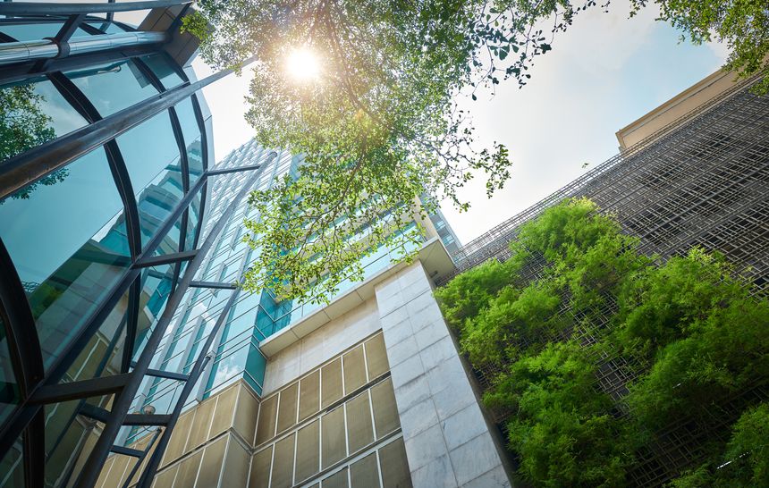 Upward view of skyscrapers, glass facade and trees with sun flare