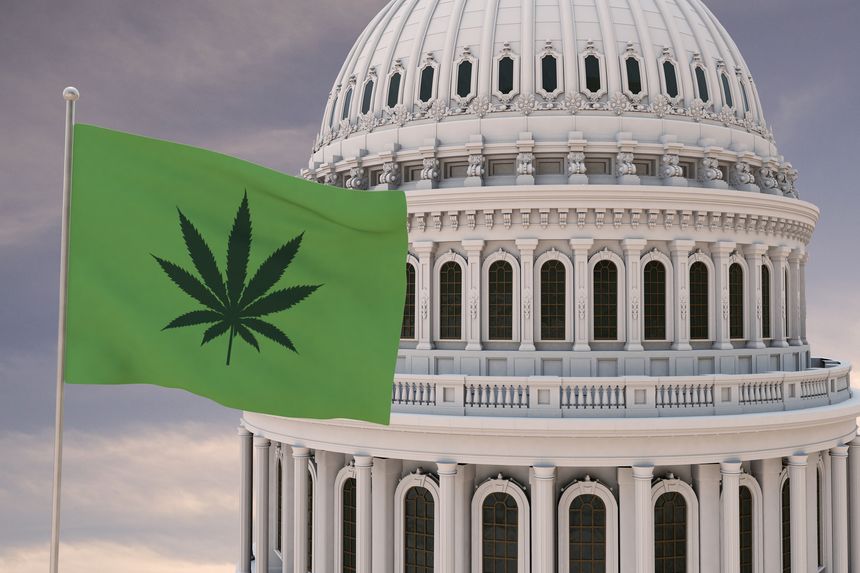 Beautiful flag of canabis, marijuana,weed , pot waving with the strong wind and behind it the dome of the Capitol USA United States of America 3D RENDER, 3D RENDERING.