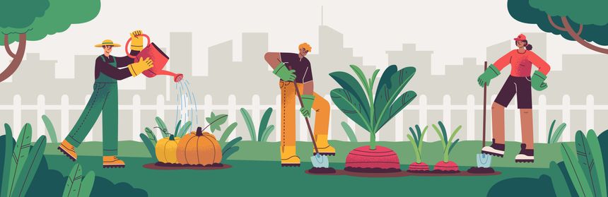 People taking care of crops
