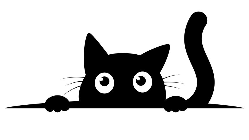 cute black cat face and tail over the horizontal surface