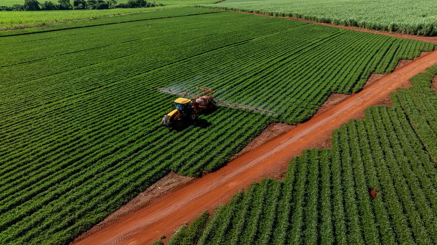Aerial view of a tractor spraying green peanut crops next to a vast sugarcane plantation - drone view