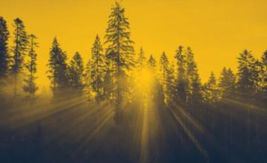 featured image