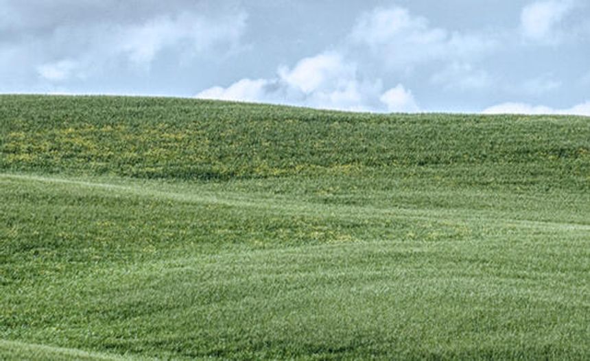 featured image