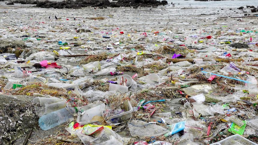 Trash on the Beach, the beach is filled with trash, such as water bottles and plastic, which is considered marine pollution.