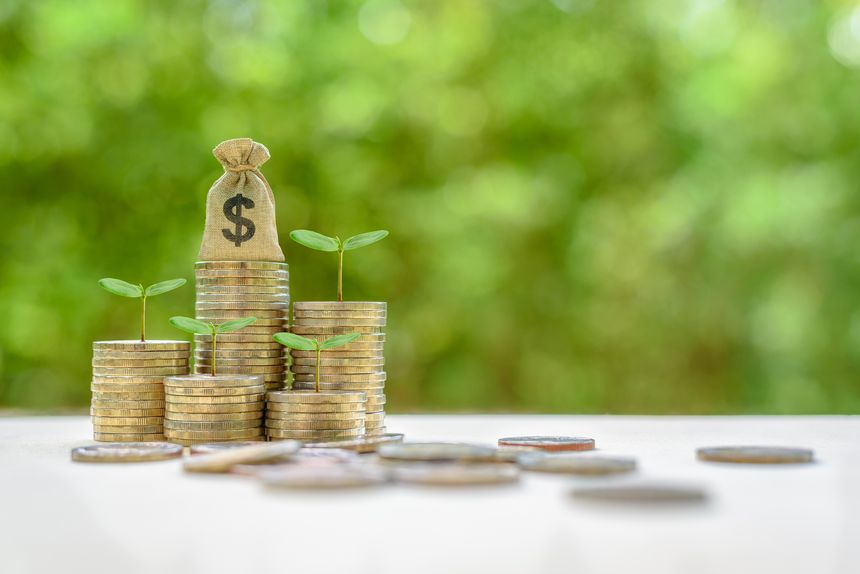 Wealth or asset management for long-term growth concept : US dollar bag, green sprout on coins, the image depicting investment / strategy focused on growth.