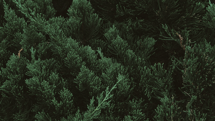 featured image