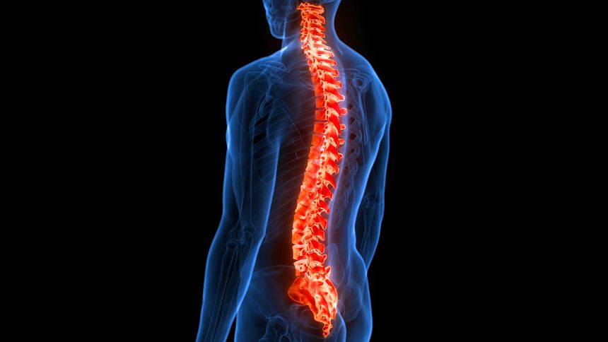 Spinal Cord Injuries After a Car Accident: What Delaware Victims Need to Know