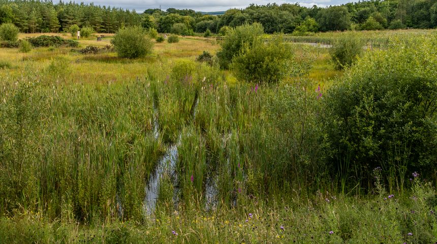 Fourth Street Preserve Officially Secured in Lewes, Delaware