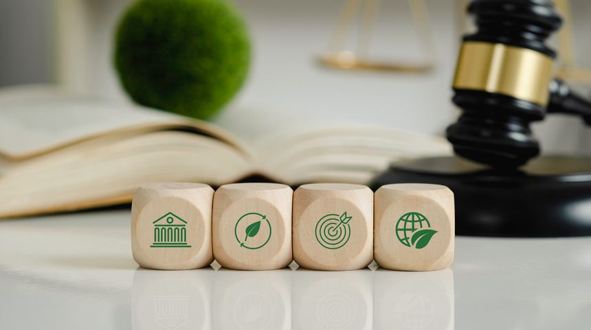 FSU Center for Environmental, Energy & Land Use Law Spotlights Kim Hoffman