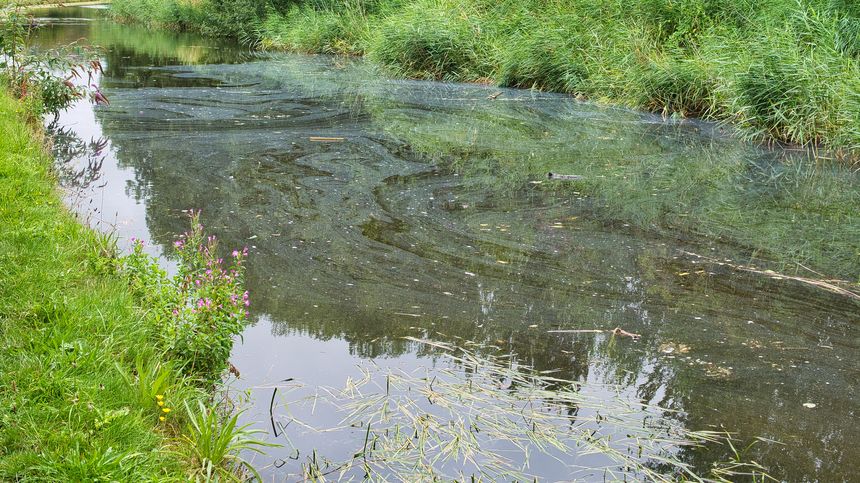 How to File a Camp Lejeune Water Contamination Claim