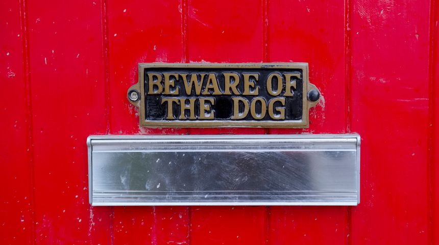 Does Delaware have Laws about Dog Bites or Dangerous Dogs?